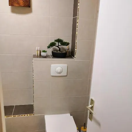Spacious Studio In